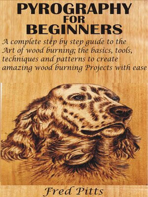 cover image of PYROGRAPHY FOR BEGINNERS